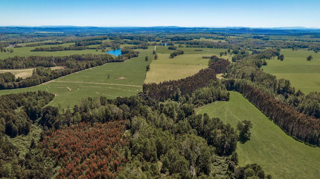 Mirador de Villarrica